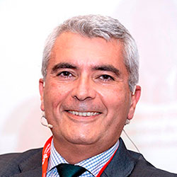 Lorenzo Cotino Hueso