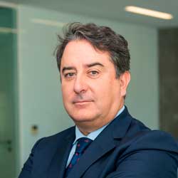 Luís Fernández Hernando
