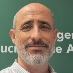 David Quintana Simón
